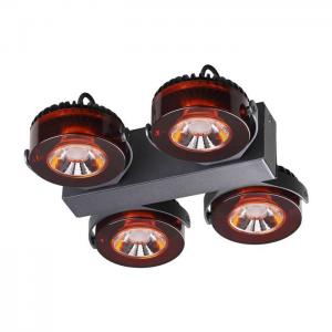 Светильник Odeon Light VIVACE 3818/40CL