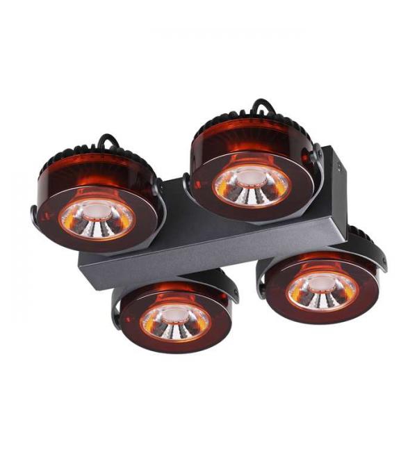 Светильник Odeon Light VIVACE 3818/40CL